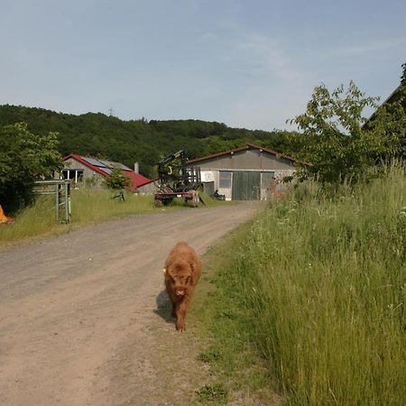 SchalkenbachRech Hof Urlaub Auf Dem Bauernhofアパートメント エクステリア 写真