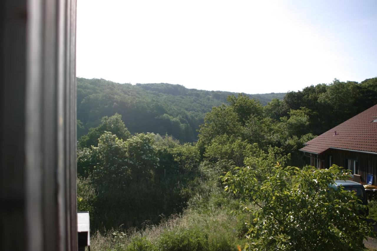 SchalkenbachRech Hof Urlaub Auf Dem Bauernhofアパートメント エクステリア 写真