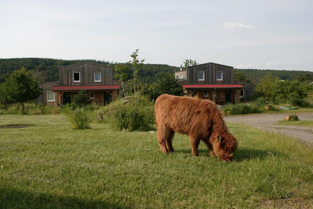 SchalkenbachRech Hof Urlaub Auf Dem Bauernhofアパートメント エクステリア 写真