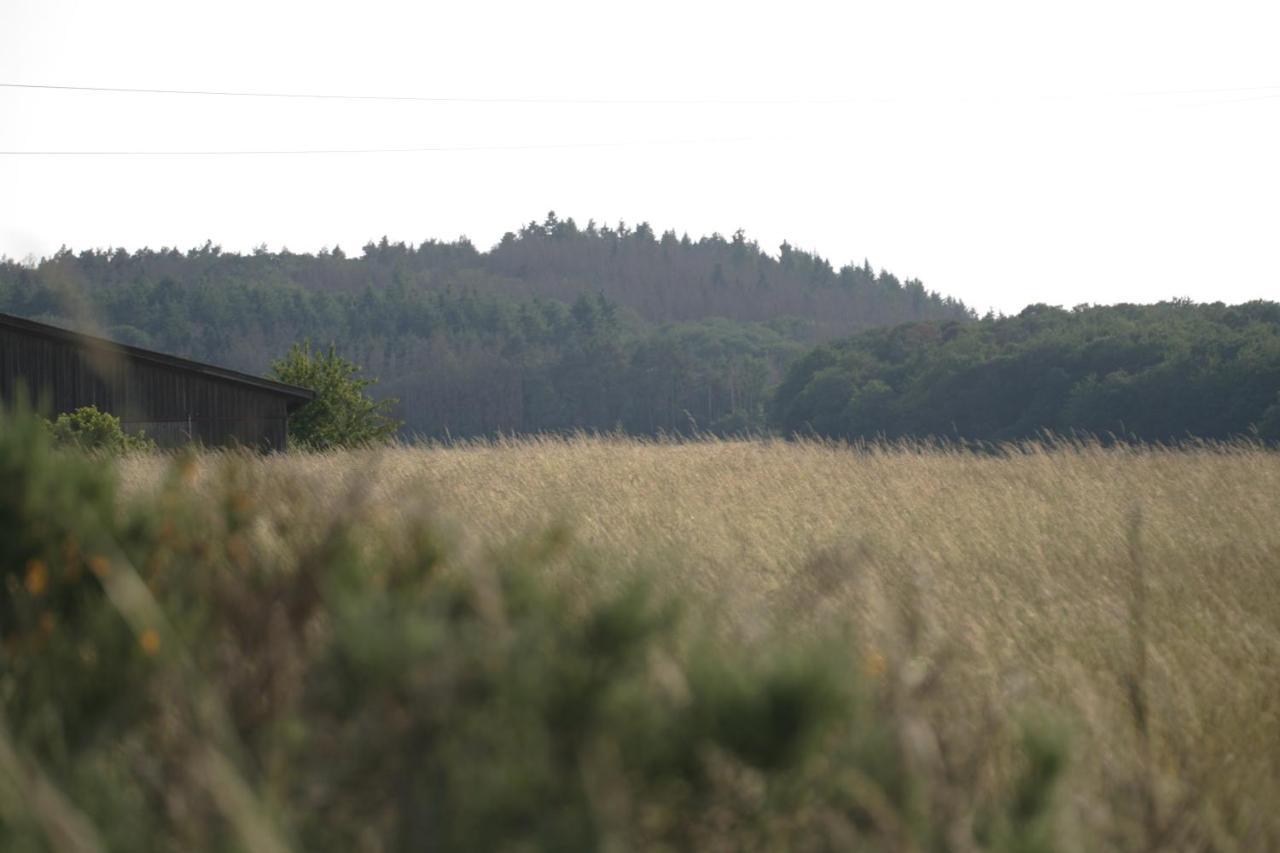 SchalkenbachRech Hof Urlaub Auf Dem Bauernhofアパートメント エクステリア 写真