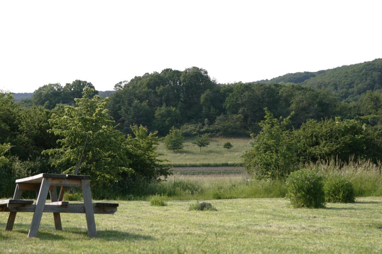 SchalkenbachRech Hof Urlaub Auf Dem Bauernhofアパートメント エクステリア 写真