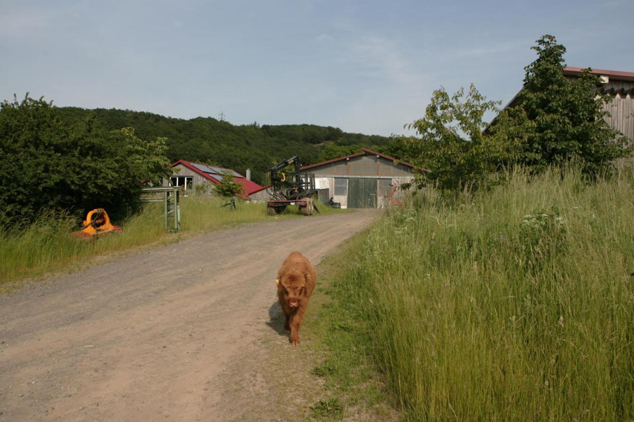 SchalkenbachRech Hof Urlaub Auf Dem Bauernhofアパートメント エクステリア 写真