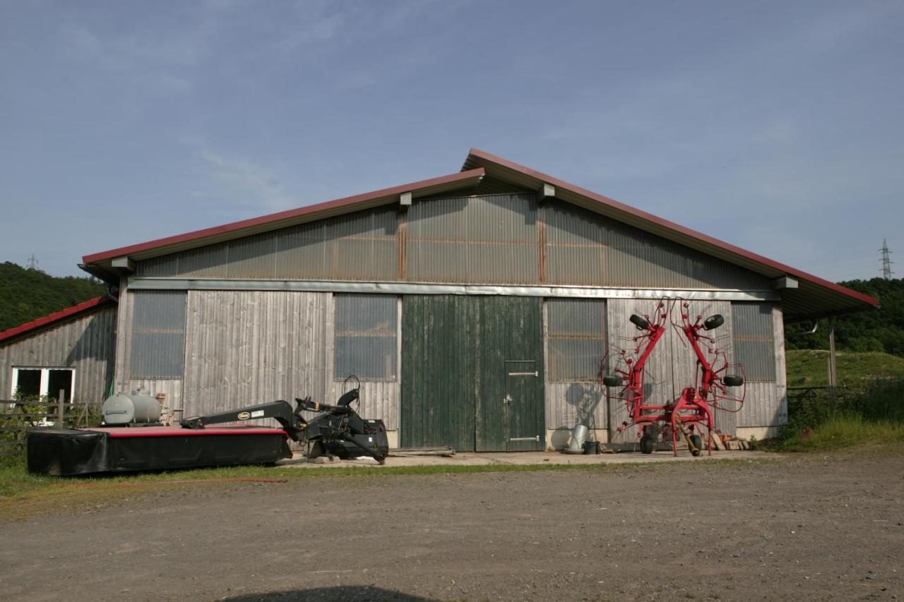 SchalkenbachRech Hof Urlaub Auf Dem Bauernhofアパートメント エクステリア 写真