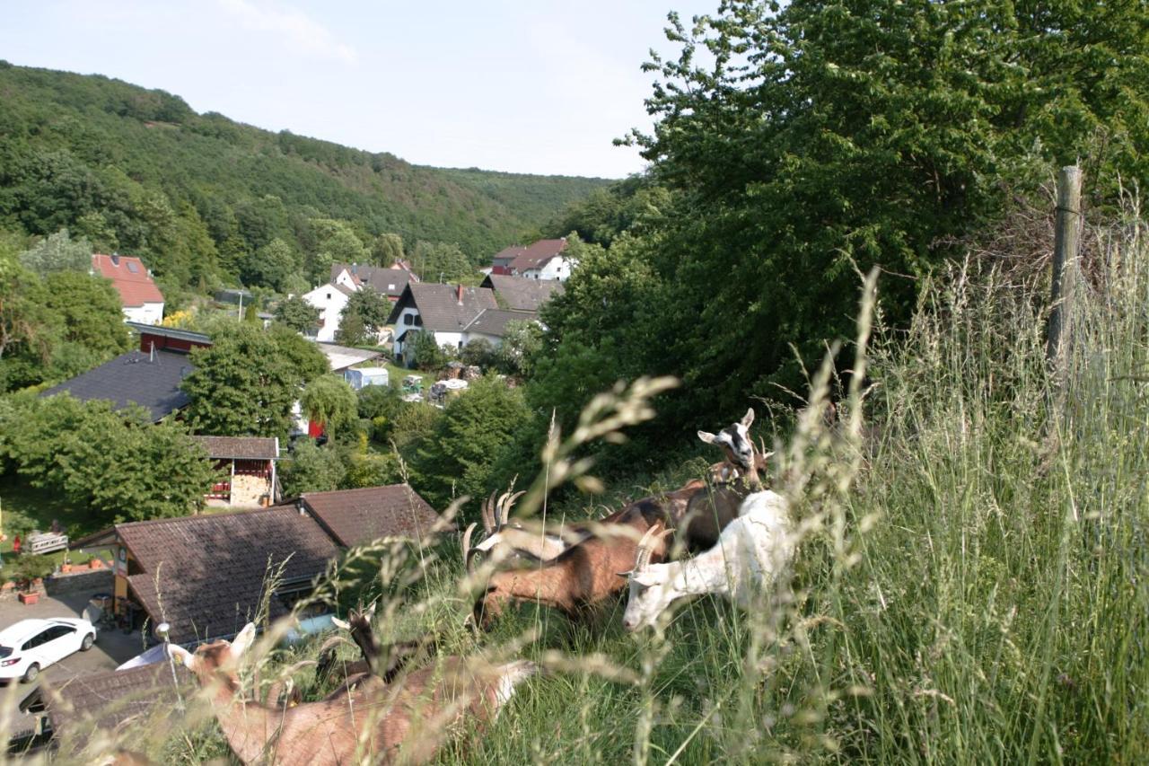 SchalkenbachRech Hof Urlaub Auf Dem Bauernhofアパートメント エクステリア 写真
